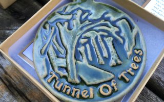 Tunnel of Trees coaster