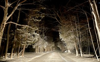 January 16, 2024 PHOTO OF THE WEEK