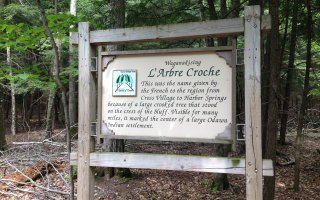 L'Arbre Croche